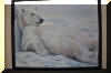 polar painting